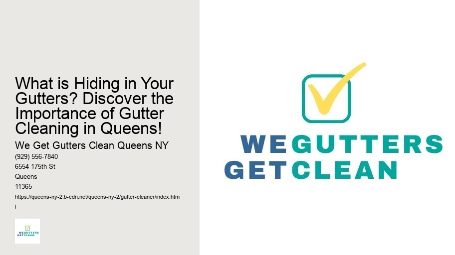 What is Hiding in Your Gutters? Discover the Importance of Gutter Cleaning in Queens!